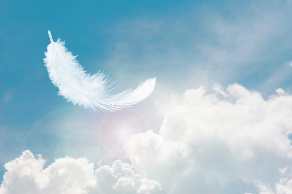 3836692-0-10045900-1741968158-shutterstock_1939227742-1 Soft and Light Fluffy White Feather Floating in The Sky with Clouds. Abstract Feather Heavenly Dreamy Fluffy Colorful Sky.