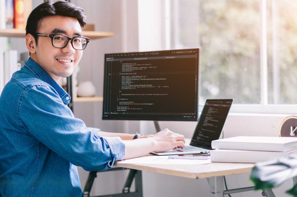 Japan software developer programmer code