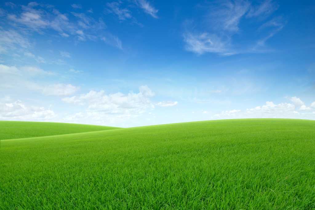 3960574-0-34945300-1745312518-shutterstock_1724042191-1 Landscape view of rolling pasture green grass on slope with blue sky and clouds in background.