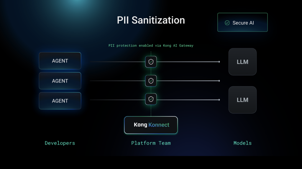 kong-pii-sanitization Kong PII Sanitization